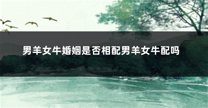 男羊女牛婚姻是否相配男羊女牛配吗