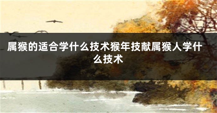 属猴的适合学什么技术猴年技献属猴人学什么技术