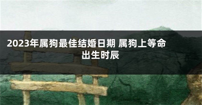 2023年属狗最佳结婚日期 属狗上等命出生时辰