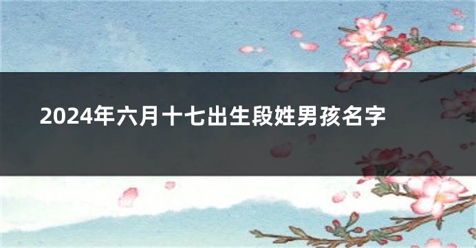 2024年六月十七出生段姓男孩名字