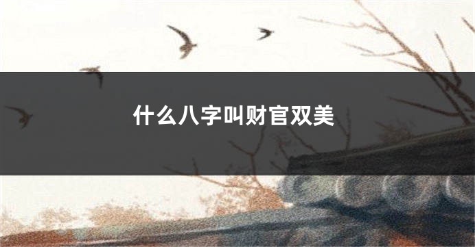 什么八字叫财官双美