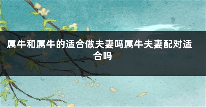 属牛和属牛的适合做夫妻吗属牛夫妻配对适合吗