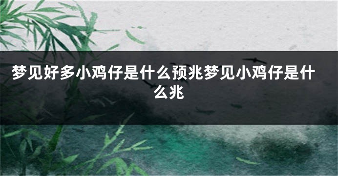 梦见好多小鸡仔是什么预兆梦见小鸡仔是什么兆