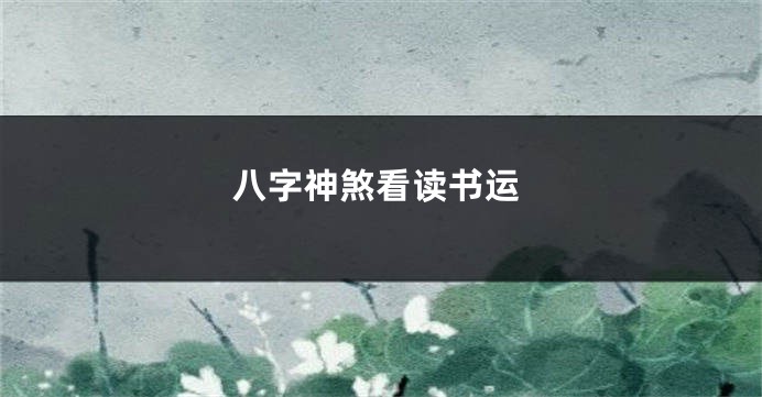 八字神煞看读书运