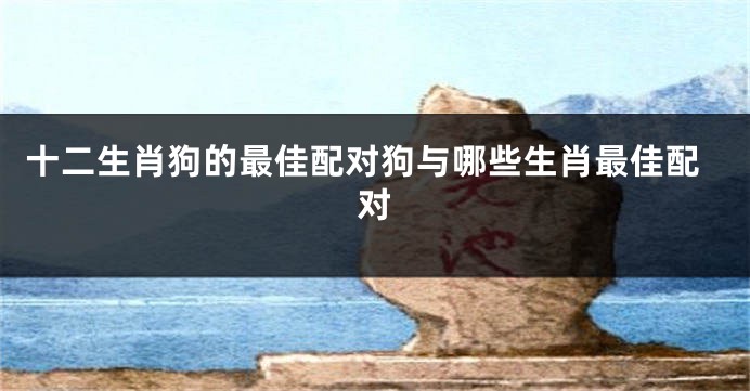 十二生肖狗的最佳配对狗与哪些生肖最佳配对