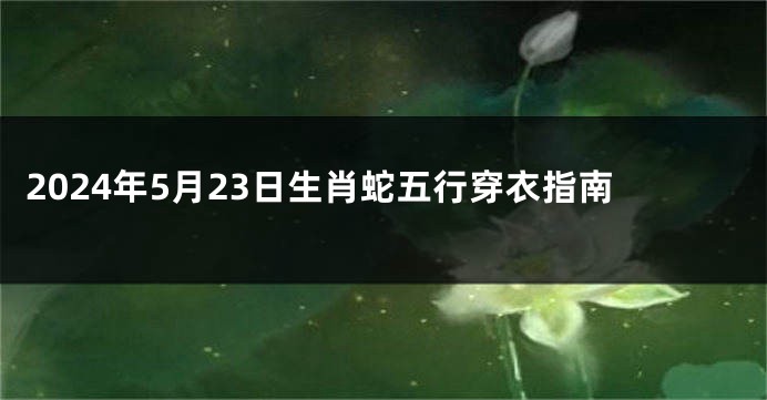 2024年5月23日生肖蛇五行穿衣指南