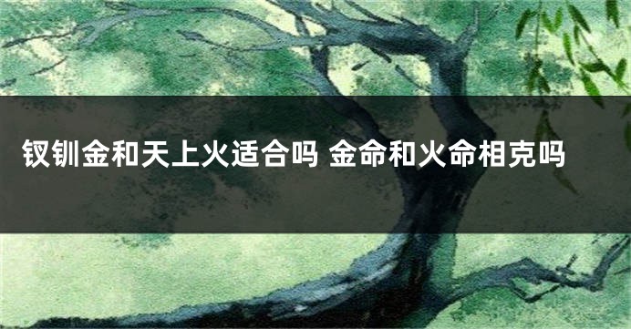 钗钏金和天上火适合吗 金命和火命相克吗