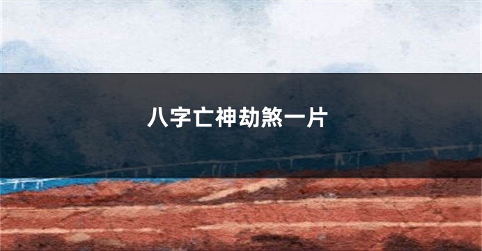 八字亡神劫煞一片