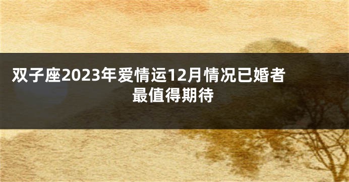 双子座2023年爱情运12月情况已婚者最值得期待