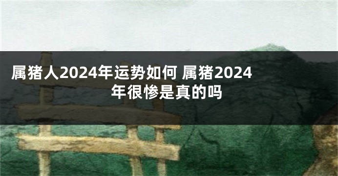 属猪人2024年运势如何 属猪2024年很惨是真的吗