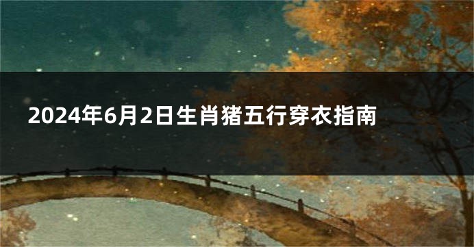 2024年6月2日生肖猪五行穿衣指南
