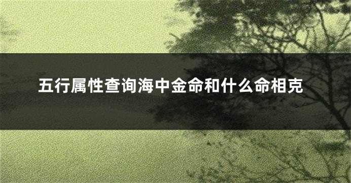 五行属性查询海中金命和什么命相克