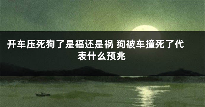 开车压死狗了是福还是祸 狗被车撞死了代表什么预兆