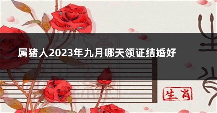 属猪人2023年九月哪天领证结婚好