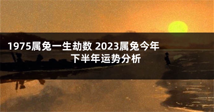 1975属兔一生劫数 2023属兔今年下半年运势分析