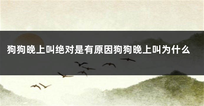 狗狗晚上叫绝对是有原因狗狗晚上叫为什么