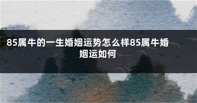 85属牛的一生婚姻运势怎么样85属牛婚姻运如何