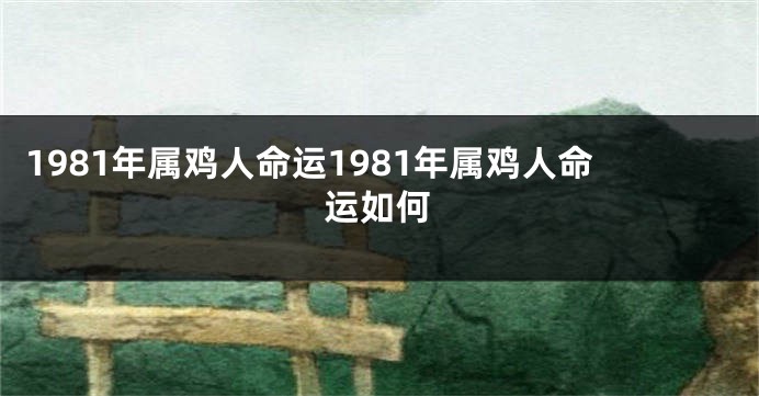 1981年属鸡人命运1981年属鸡人命运如何