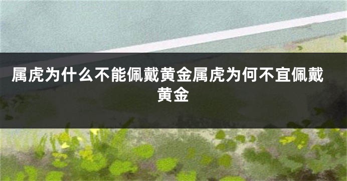 属虎为什么不能佩戴黄金属虎为何不宜佩戴黄金