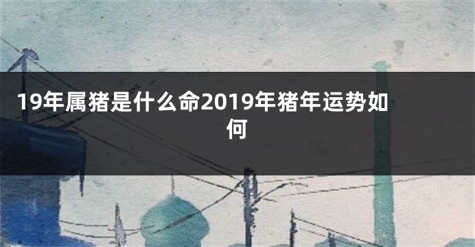 19年属猪是什么命2019年猪年运势如何