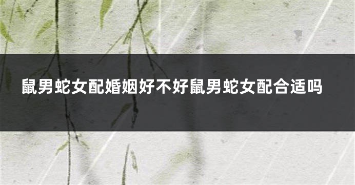 鼠男蛇女配婚姻好不好鼠男蛇女配合适吗
