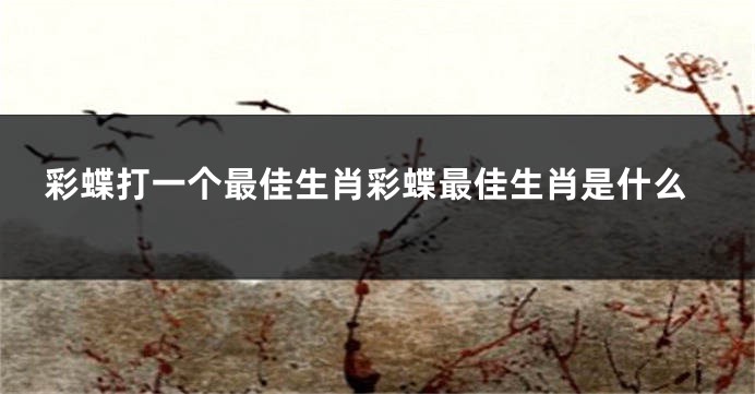 彩蝶打一个最佳生肖彩蝶最佳生肖是什么