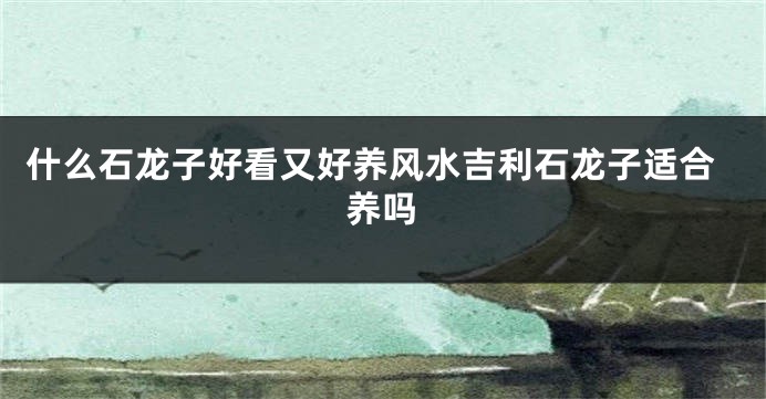 什么石龙子好看又好养风水吉利石龙子适合养吗