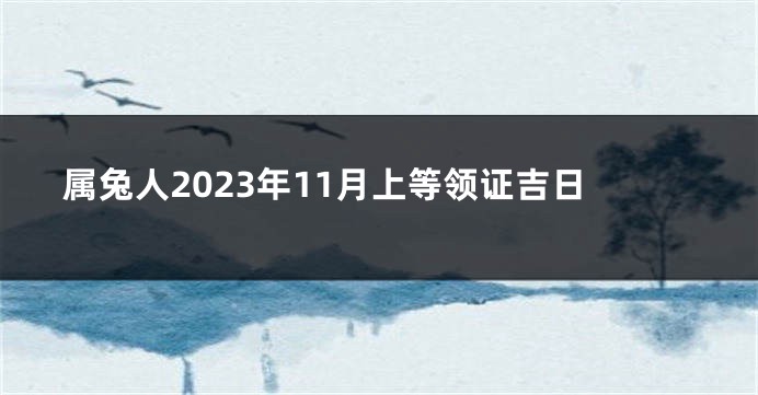 属兔人2023年11月上等领证吉日