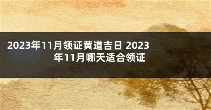 2023年11月领证黄道吉日 2023年11月哪天适合领证