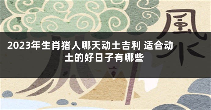 2023年生肖猪人哪天动土吉利 适合动土的好日子有哪些