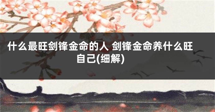 什么最旺剑锋金命的人 剑锋金命养什么旺自己(细解)