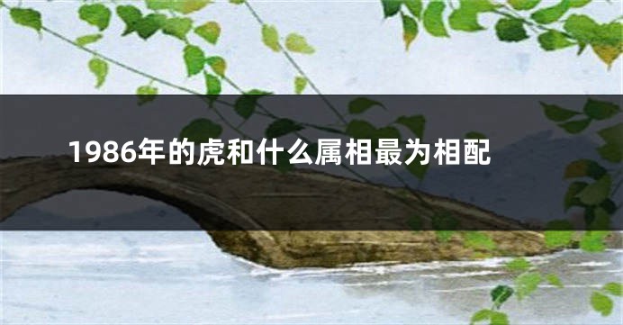 1986年的虎和什么属相最为相配
