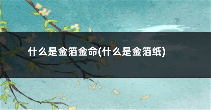 什么是金箔金命(什么是金箔纸)
