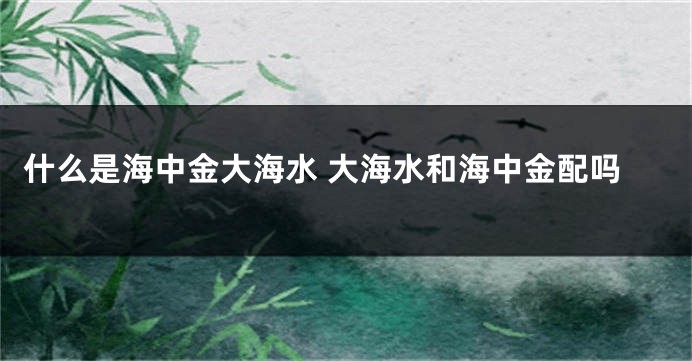 什么是海中金大海水 大海水和海中金配吗