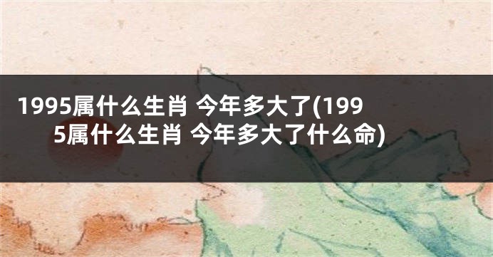1995属什么生肖 今年多大了(1995属什么生肖 今年多大了什么命)