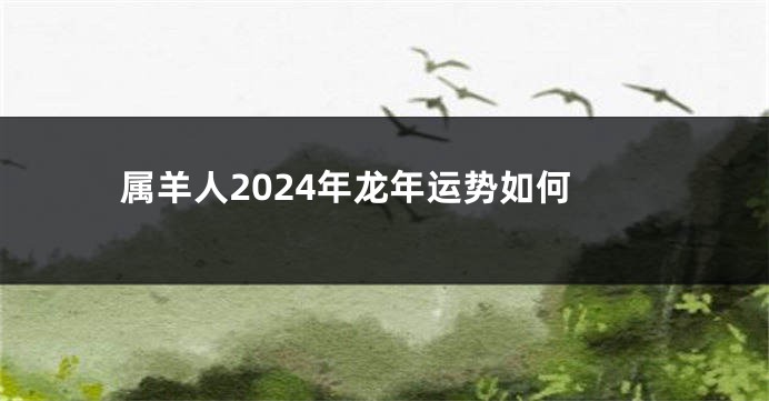 属羊人2024年龙年运势如何