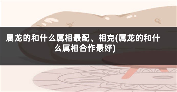 属龙的和什么属相最配、相克(属龙的和什么属相合作最好)