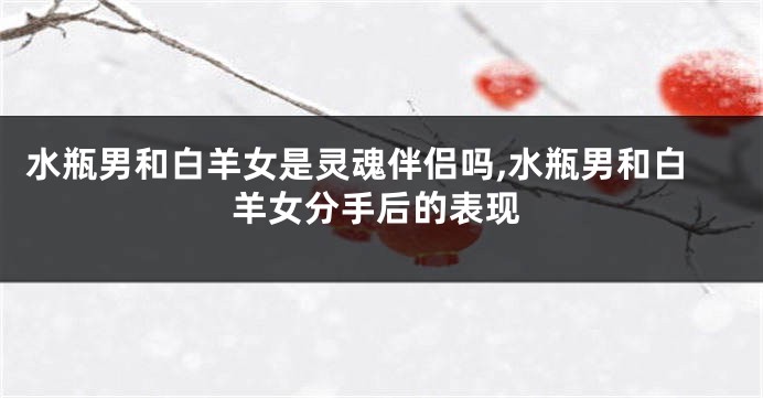 水瓶男和白羊女是灵魂伴侣吗,水瓶男和白羊女分手后的表现