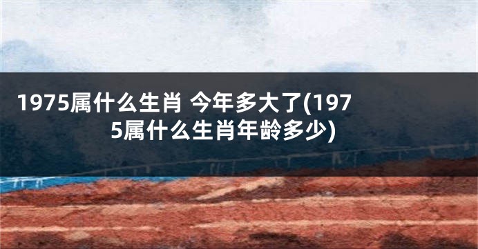 1975属什么生肖 今年多大了(1975属什么生肖年龄多少)
