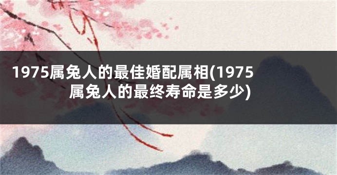 1975属兔人的最佳婚配属相(1975属兔人的最终寿命是多少)
