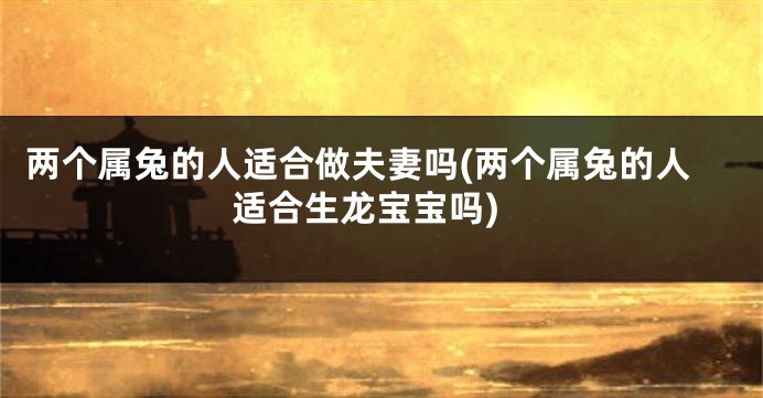 两个属兔的人适合做夫妻吗(两个属兔的人适合生龙宝宝吗)