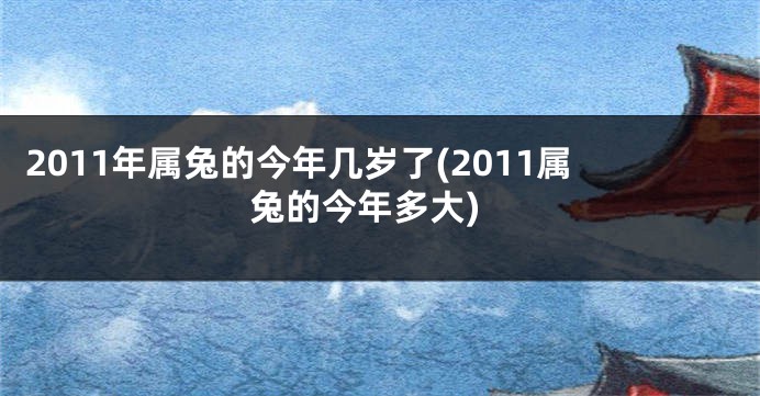 2011年属兔的今年几岁了(2011属兔的今年多大)