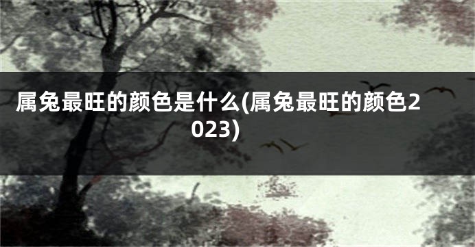 属兔最旺的颜色是什么(属兔最旺的颜色2023)