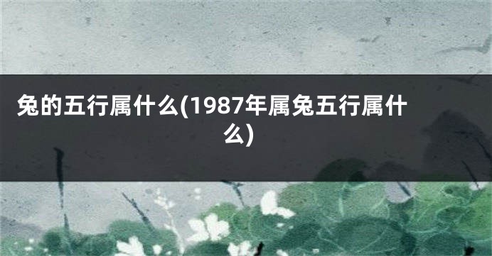兔的五行属什么(1987年属兔五行属什么)