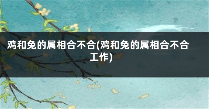 鸡和兔的属相合不合(鸡和兔的属相合不合工作)