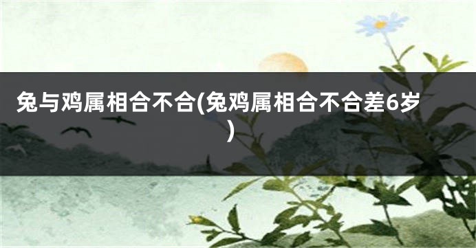 兔与鸡属相合不合(兔鸡属相合不合差6岁)