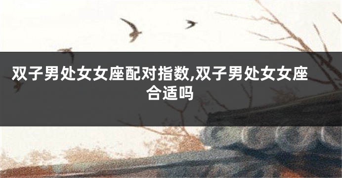 双子男处女女座配对指数,双子男处女女座合适吗