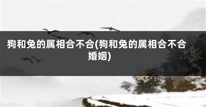 狗和兔的属相合不合(狗和兔的属相合不合婚姻)