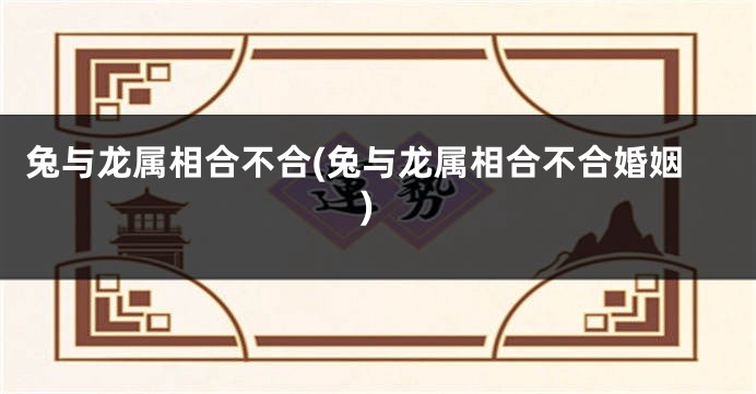 兔与龙属相合不合(兔与龙属相合不合婚姻)