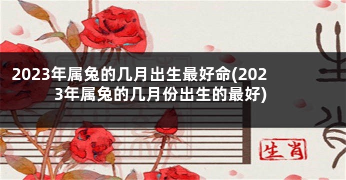 2023年属兔的几月出生最好命(2023年属兔的几月份出生的最好)